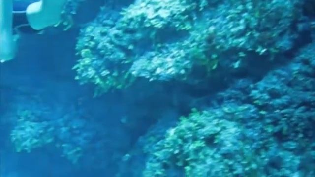 SCUBAedit смотреть онлайн