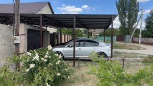 посмотрим на что способен ГОРЕЦ бальджуанский