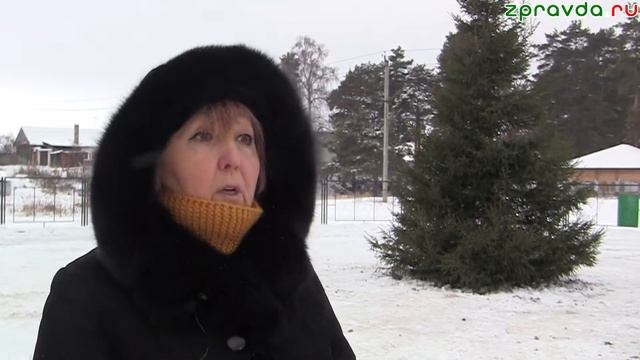 Зеленодольцев призывают бережнее относится к елкам и новогодним инсталляциям смотреть онлайн