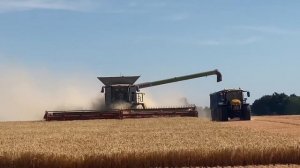 Claas lexion 8900 + convio 1380 (45ft) header combining spring barley in Mickfield Suffolk