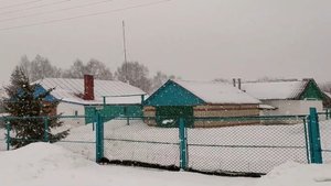 КУПИЛИ ДОМ В ДЕРЕВНЕ И ПОНЕСЛОСЬ