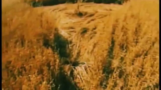 Редкостные Кадры НЛО 2015 ! Смотреть ВСЕМ !