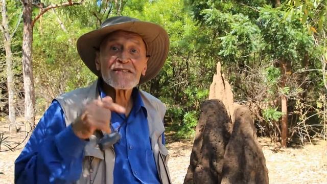 Николай Дроздов об экопроекте TianDe (ТианДе), подключайся и ты! смотреть онлайн