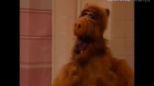 Альф: Тараканище