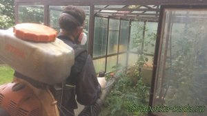 Обработка теплиц и садов