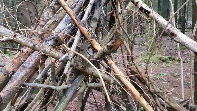 Mercury 80 Bigfoot  Coded Signals