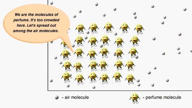 Diffusion of perfume molecules смотреть онлайн