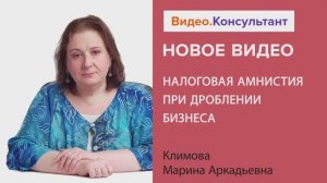 Видеоанонс лекции М.А. Климовой "Налоговая амнистия при дроблении бизнеса"