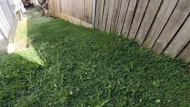 My Personal Favourite! TRIMMING AROUND STEPPING STONES!! Definitely Makes The Difference смотреть онлайн