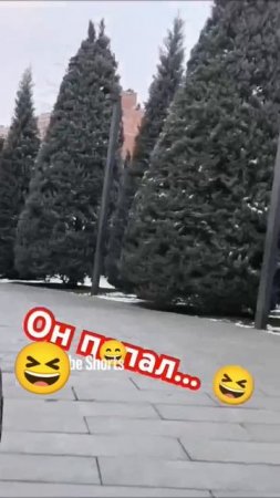 Случилось страшное🤣 он попал