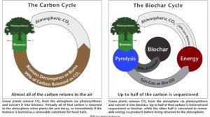 Biochar - Can it save the planet? Albert Bates Interview