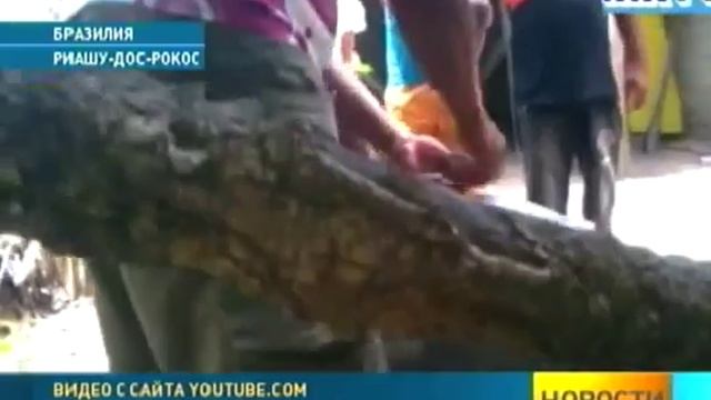 НЛО упало на землю смотреть онлайн