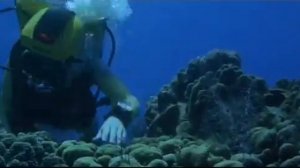 Scuba woman dive too deep and lose regulator. The Neptune Factor Movie.