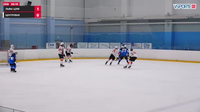 Львы ЦХМ - Центровые  СК Салют