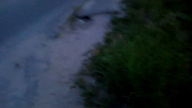 Мотоциклисты северки