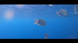 Pickalbatros Oasis & Sands Port Ghalip Marsa Alam  Hotelbewertung Ägypten