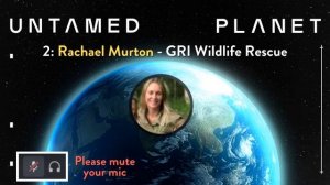 Townhall #1 (Part 2): AMA w/ ELEPHANT EXPERT (Rachael Murton - Game Rangers International)