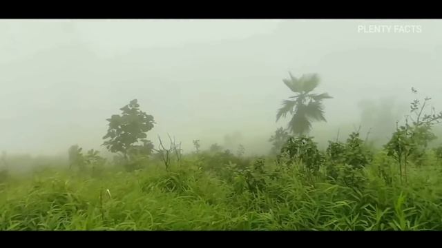 GANGTOK vs SHILLONG - Tourist के लिए कौनसा शहर Best है || Gangtok || Sikkim || Shillong || Meghalay смотреть онлайн