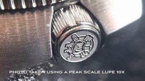 STEELDIVE TURTLE SD1970 REVIEW ( Only $99 !! )