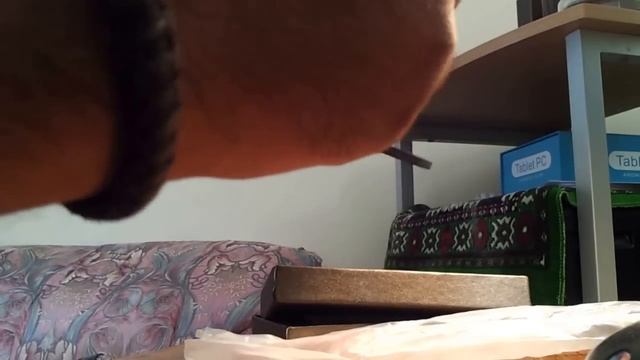 Shark Sport Wrist Watch in black смотреть онлайн