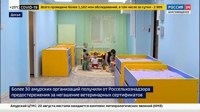 Более 30 амурских организаций получили предостережения за негашение ветеринарных сертификатов смотреть онлайн