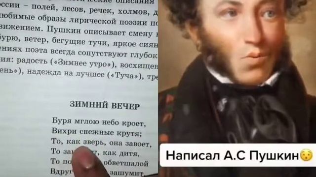 Вики шоу смотреть онлайн