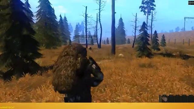 Стрим Stalker Online #2 смотреть онлайн