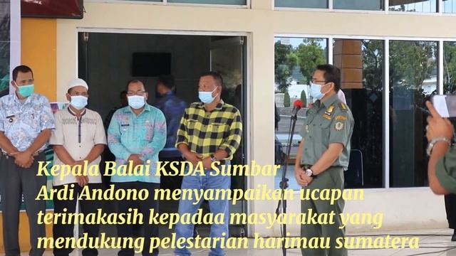 episode 2 : Persiapan Release Harimau Si Pogu di Pasaman Barat #harimau #pasamanbarat #sungaiaur