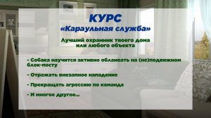 Игорь Алтайский.
Дрессировка собак!