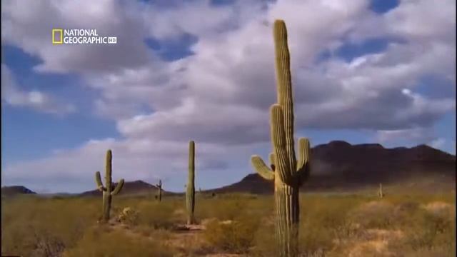 Гибель Земли National Geographic HD смотреть онлайн