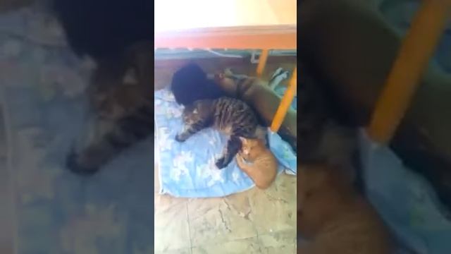 Тихий час смотреть онлайн