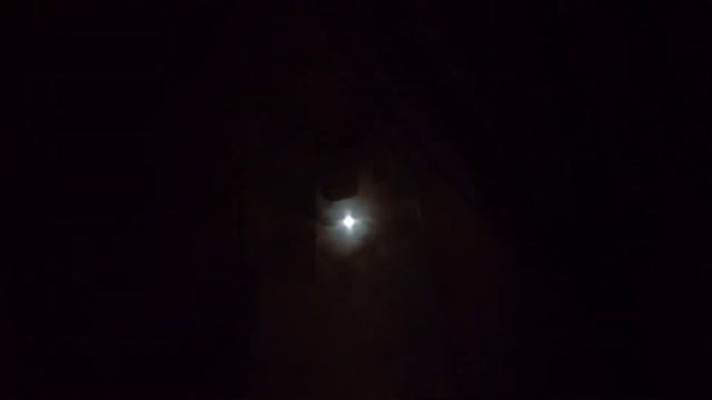 У нас полнолуние! Вся комната в свете луны!