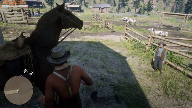 ПЛОХАЯ КОНЦОВКА. ЭПИЛОГ  Red Dead Redemption 2 45