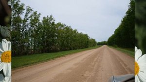 Авылыма кайтып килем!