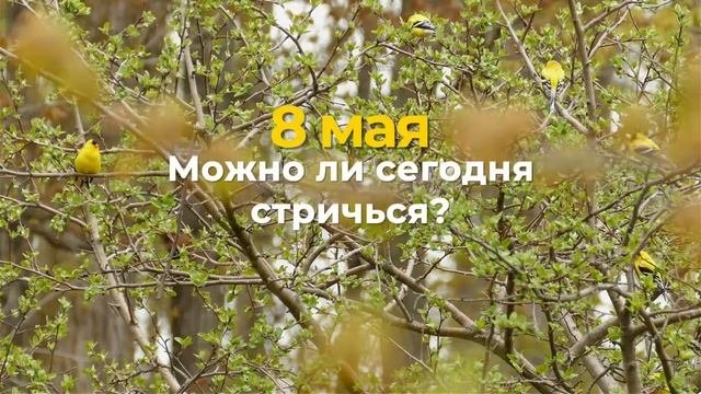 8 мая — Светлая среда. Что можно и нельзя делать #традиции #обряды #приметы