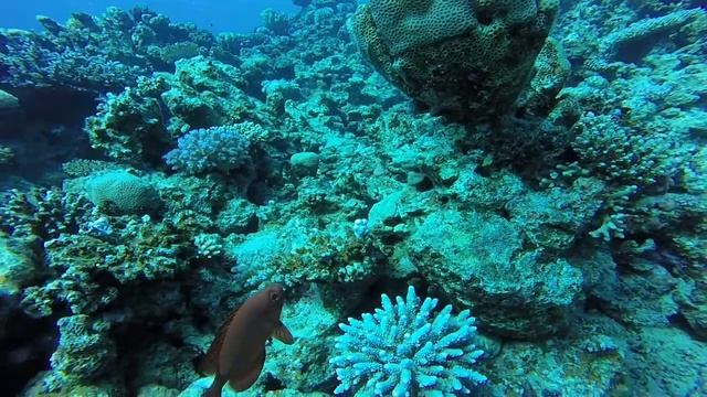 марсалам январь день2 смотреть онлайн