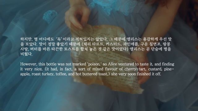 (EN/KR) Alice's Adventures in Wonderland - Lewis Carroll / Korean Voice / Part 2