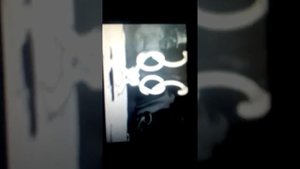 Самая громкая песня в мире