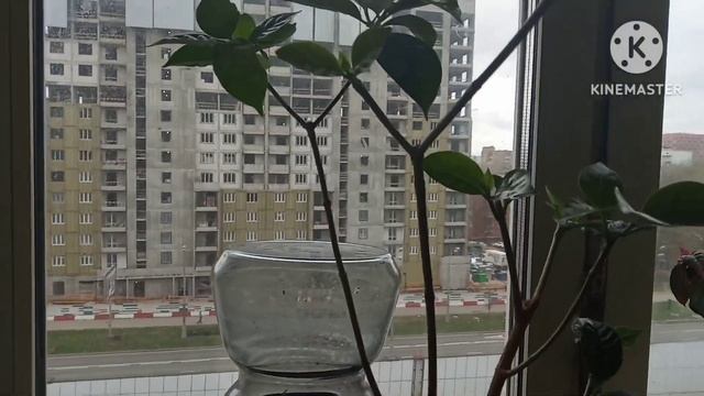 15 апреля 2024 г. смотреть онлайн