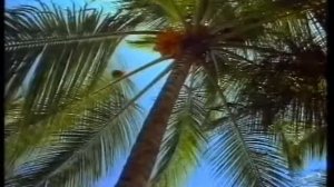 Mars Bounty - Taste of Paradise