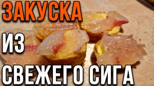 Свеже пойманный сиг, одна из лучших закусок.
