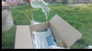 Распаковка  посылки  с  хостами-новинками ! С  картинками  , как выглядят эти  хосточки.