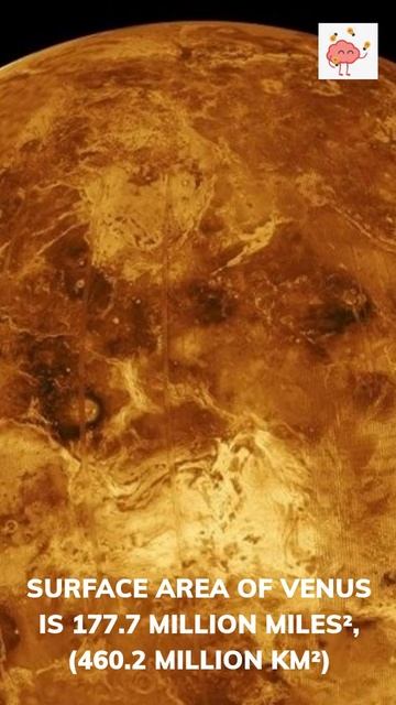 FACTS OF VENUS #Shorts смотреть онлайн