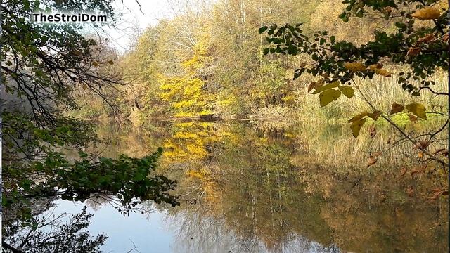 На природе три минуты !!! Оглянись вокруг себя. смотреть онлайн