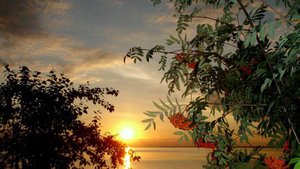 Разгорелась заря золотая.( Поздняя  любовь) Поёт  Валентина Дробышева.