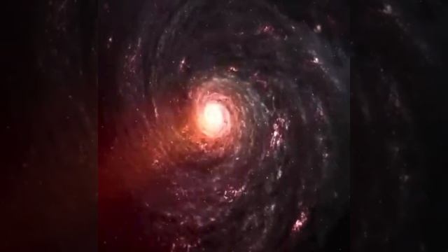 25 января 2020 г. смотреть онлайн