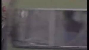 ШНУРОВ. ЗУБ ЗОЛОТОЙ. АГЕНСТВО "НЛС"