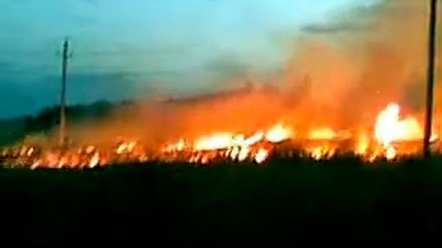 Пожар на поле смотреть онлайн