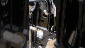 2006 Mercury 25 EFI 20"