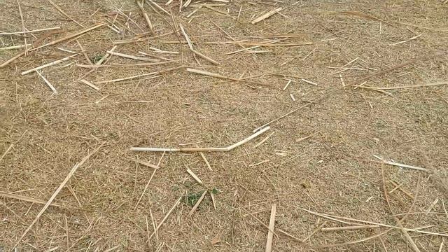 Летающая тарелка НЛО смотреть онлайн